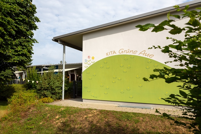 Grüne Aue