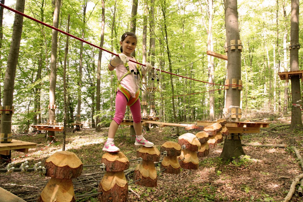 Kletterwald
