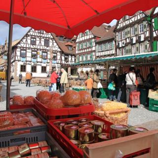 Bild Wochenmarkt
