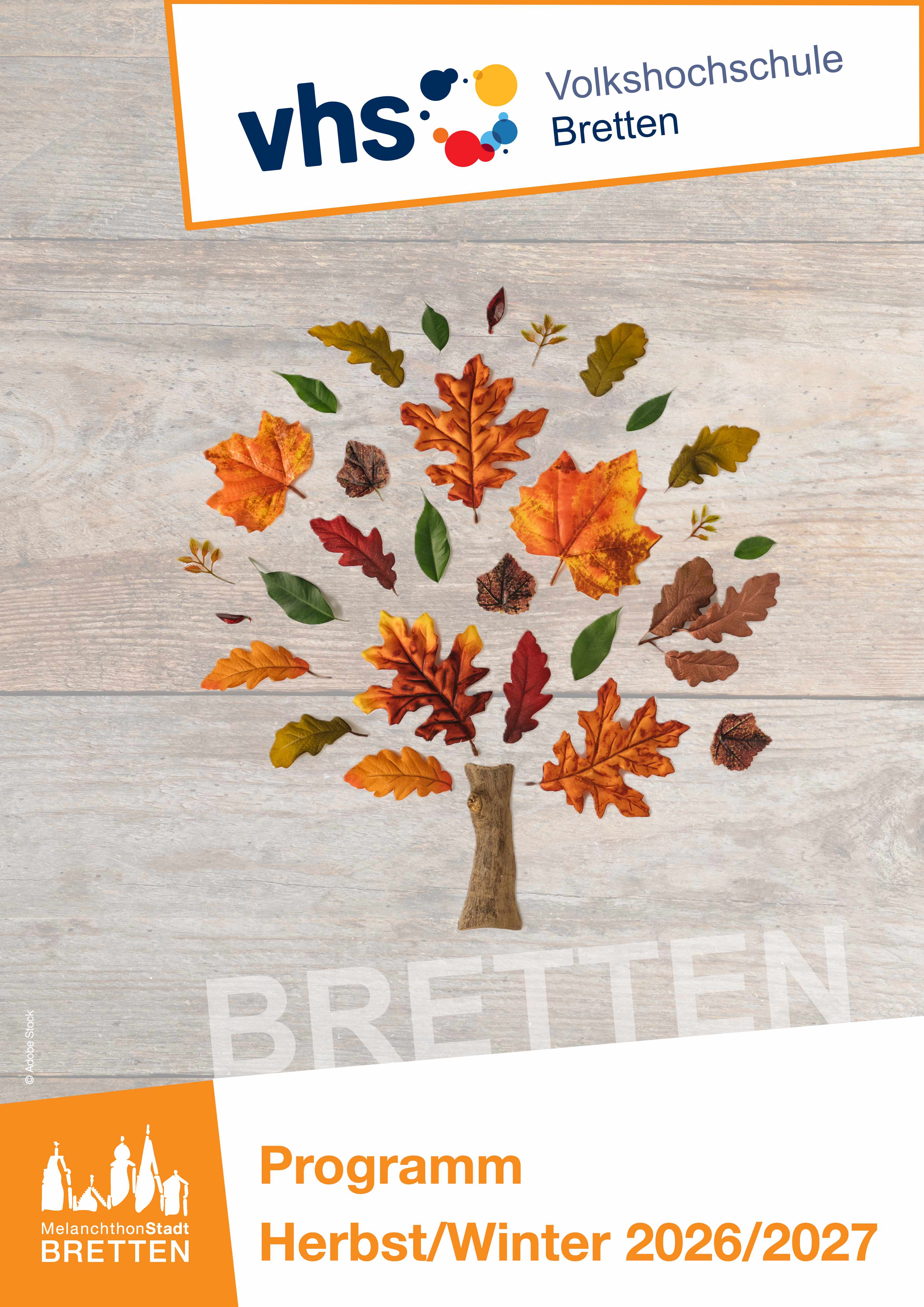 Titelbild mit herbstlichem Laubbaum