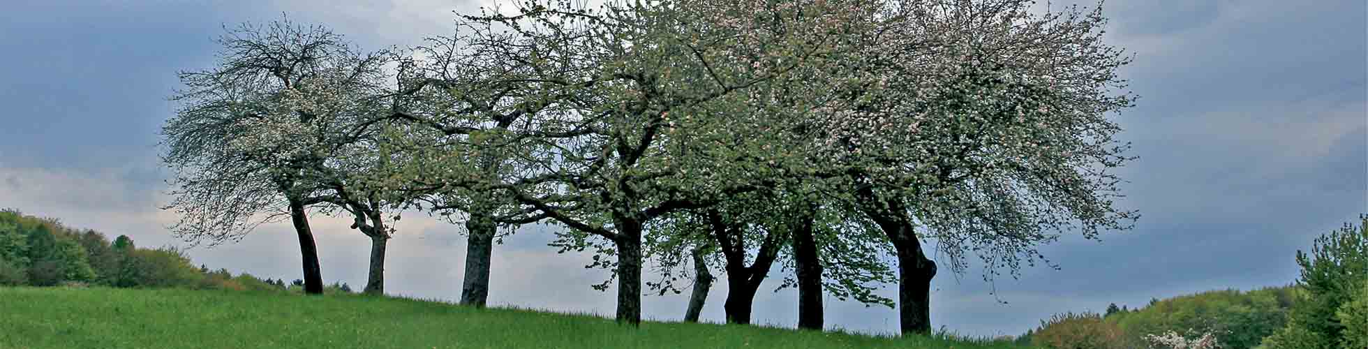 Landschaftsbild