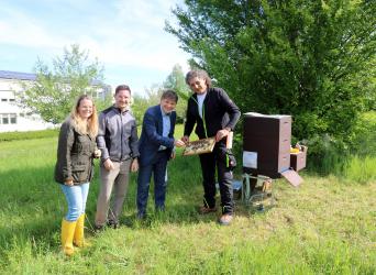 Stadtbienen mit Bürgermeister Michael Nöltner, Saskia Strauch und Luca Sebold vom städtischen Fachamt und Imker Eckhard Egler