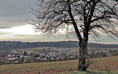 Büchig Bretten