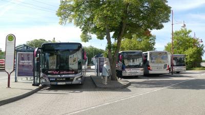 Stadtbusse am Zentralen Omnibusbahnhof Bretten