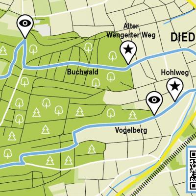 Karte des Diedelsheimer Buchwald-Rundwegs
